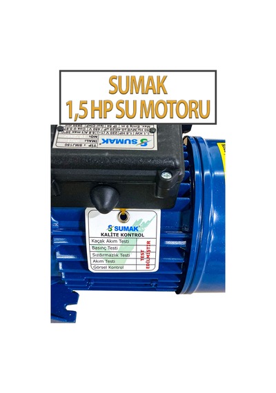 1,1 Kw 1,5 Hp 2820 D/d 5,8 A. Su Motoru 220 V/50 Hz Su Pompası Jet Pompası
