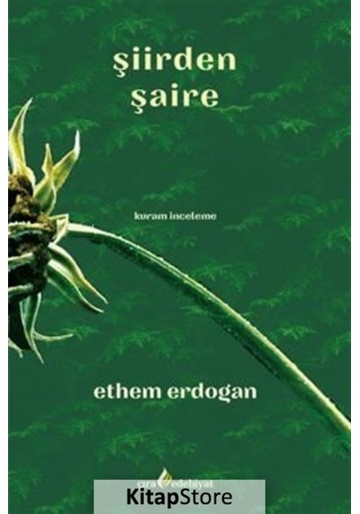 Şiirden Şaire - Ethem Erdoğan - Çıra Yayınları