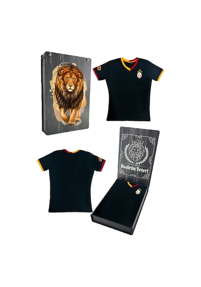Galatasaray Lisanslı 5 Yıldızlı Siyah Basic Çocuk T-shirt Gs Aslan Baskılı Ahşap Kutulu Siyah