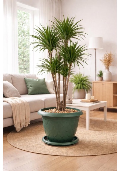 So-d011 Damla Desen Saksı Takımı Tabaklı 37 Litre No:11 Yeşil 3 Adet