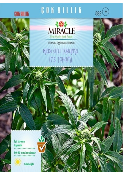 Miracle Kedi Otu Tohumu 75 Tohum Miracle Kedi Otu Tohumu 75 Tohum