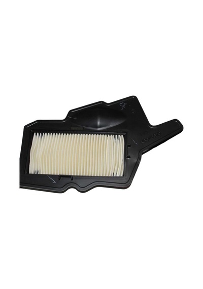 Tvs Raıder 125 Hava Filtresi  N6040620