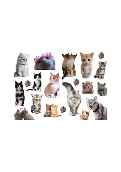 41'li Kedi, Kitty, Fairycore, Sevimli Hayvanlar Sticker Seti - Etiket Seti Scrapbook Bullet Journal Çok Renkli
