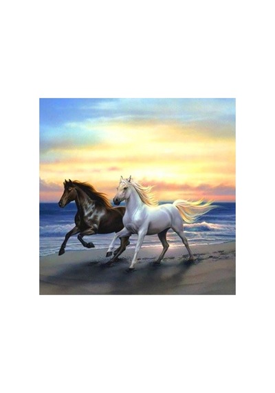 5d Elmas Boncuk Taş Işleme Mozaik Goblen Kit 30x30cm Ms20087 Diamond Painting