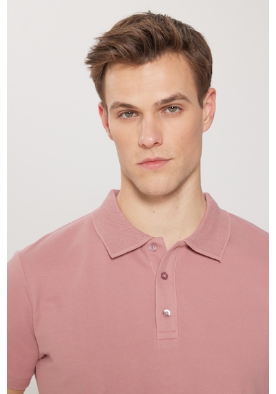 AC&Co / Altınyıldız Classics Altinyildiz Classics Erkek Gül Kurusu Slim Fit Dar Kesim Polo Yaka %100 Pamuk Tişört 4A4820200001GULXXL Gülkurusu AC&Co / Altınyıldız Classics Altinyildiz Classics Erkek Gül Kurusu Slim Fit Dar Kesim Polo Yaka %100 Pamuk Tişört 4A4820200001GULXXL Gülkurusu