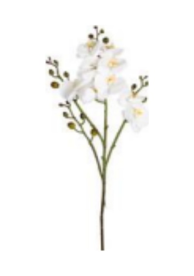 Yapay Çiçek Orkide Gerçek Dokulu Beyaz 80 Cm. Çok Renkli