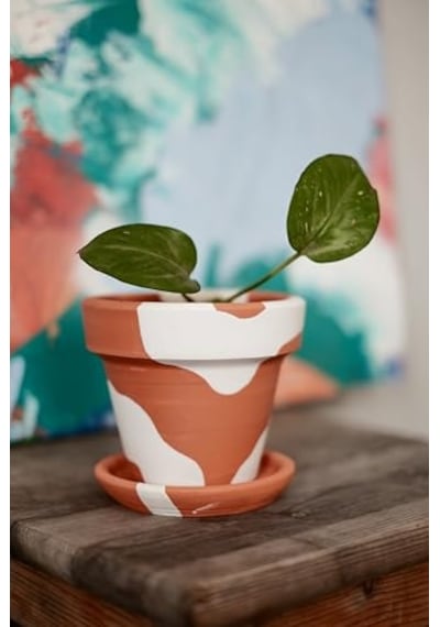 Terracotta Konik Saksı+tabak Bohem Beyaz Küçük