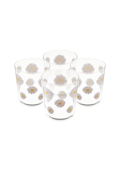 Raklee Fiona 4'lü Bardak Seti - Şeffaf - 315 Ml Renkli