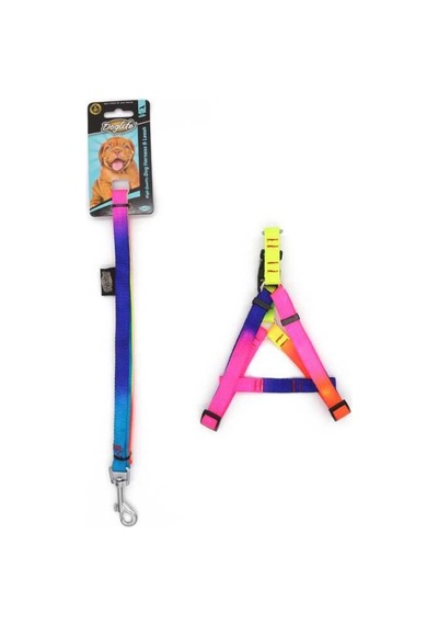 Doglife Gökkuşağı Orta Irk Göğüs ve Uzatma Şerit Tasma Seti 40 - 55 CM Çok Renkli