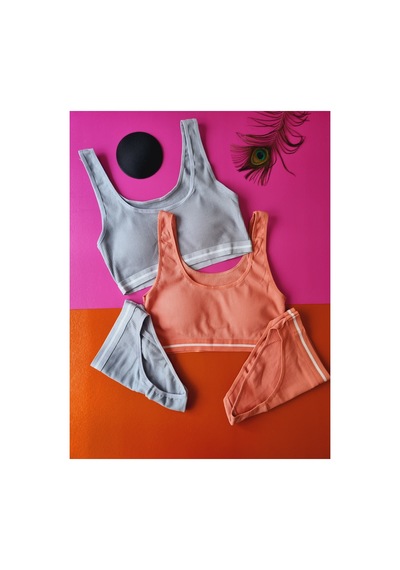 Demirsa Boutique Kaşkorse Kumaş 2'li Gül Kurusu Ve Mavi&gri Renk Pedli Sütyen Külot Takım Gülkurusu-mavi&gri Demirsa Boutique Kaşkorse Kumaş 2'li Gül Kurusu Ve Mavi&gri Renk Pedli Sütyen Külot Takım Gülkurusu-mavi&gri