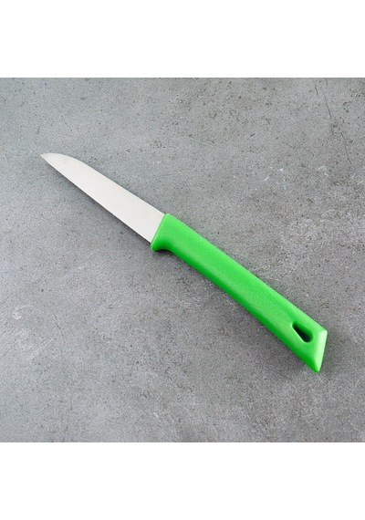 Aryıldız Düz Ağız Meyve Bıçak Yeşil 8 Cm