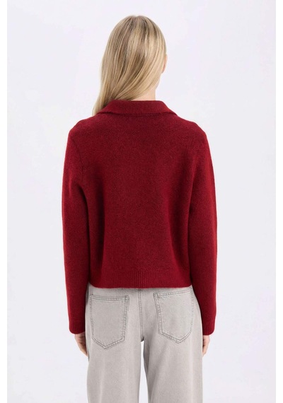 DeFacto Regular Fit Polo Yaka Basic Düz Düğmeli Triko Hırka E2289AX24WNBR93 Bordo