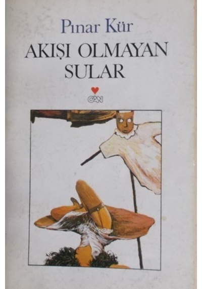 Akışı Olmayan Sular/Pınar Kür