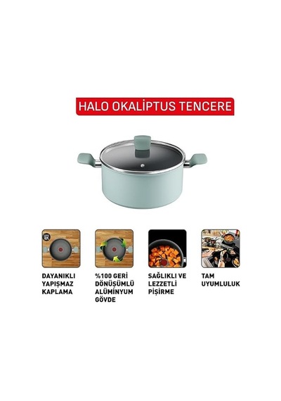 Tefal Halo Okaliptus Derin Tencere- 24 Cm 2100143071