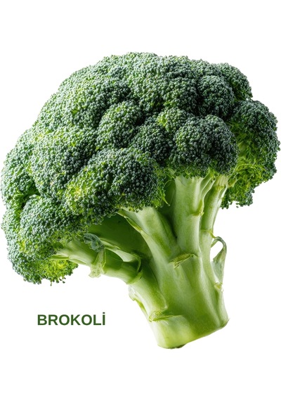 Brokoli Tohumu 10 Gr. 10 Gr.