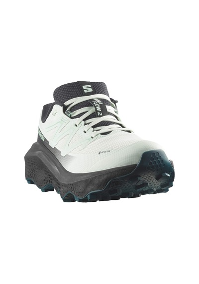 Salomon Salomon Ultra Flow 2 Gtx W Kadın Beyaz Patika Koşu Ayakkabısı Cabl 3972774