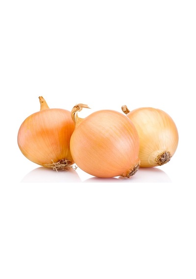 Kuru Soğan 10 KG
