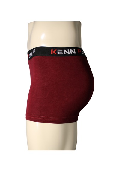 Kenn Paul Erkek Bordo Bambu Boxer Rahat Kumaş Premium Boxer Çok Renkli