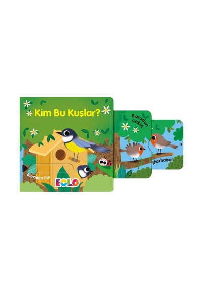 Eolo Kim Bu Kuşlar