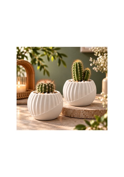 2 Li Kaktüs Saksısı Beyaz Dekoratif Mini Saksı Sukulent Ve Kaktüs Saksısı 8 Cm Beyaz - 921521534 Beyaz - 921521534