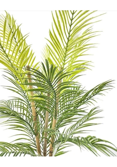 Rüzgar Yapay Çiçekçilik 12x12 Siyah Saksıda 90 Cm Cikas Ağacı Yeşil
