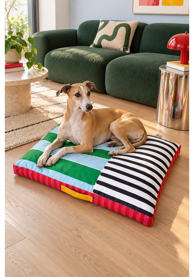 Kedi Ve Köpek Yatağı Modern Tasarımlı, Çıkarılabilir, Yıkanabilir Kılıf Rıka