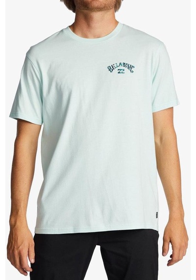 Billabong Arch Fill Ss Erkek Tişört Abyzt01696-Sgl