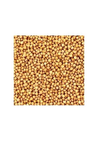 Sarı Hardal Tohumu Sinapis Alba 100 Gram - 938183483