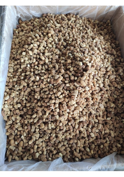 Erzincan Doğal Dut Kurusu Organic 1 KG