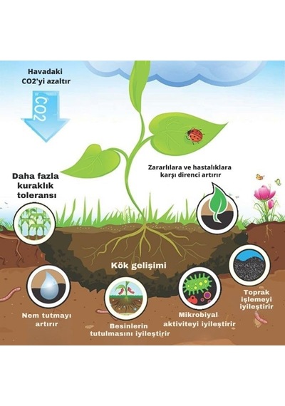 Meşe Odunu Bazlı Karbon Toprak Düzenleyici 1l Biochar 6 Mm Ve Üstü