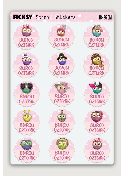 Özel Isim Yazılabilen Okul Etiketi Defter Kitap Için Baykuş Temalı Sticker Seti 15 Adet Çıkartma Diğer