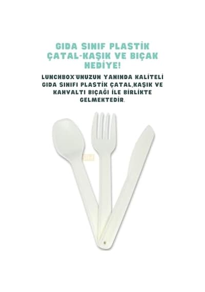 Bento 1600ml Lunchbox Sevimli Kedi Desenli Tek Katlı 2 Bölmeli Pp Plastik Sefer Tası Yemek Kutusu