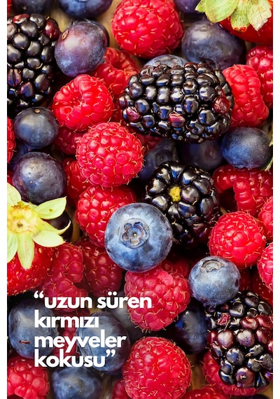 Nature's Scents Mixed Berries - Karışık Kırmızı Meyveler Oda Kokusu Yedek Makine Spreyi 250 Ml