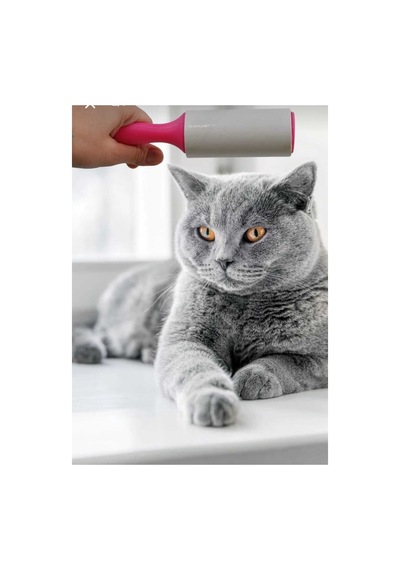 Kamptek Patili Kedi Köpek Tüy Toplama Rulosu - Yüksek Yapışkanlı Evcil Hayvan Tüy Temizleyici Roller + Kolay Soyulabilir Yapraklar 120 Yaprak 2 Adet