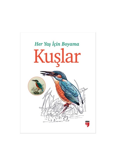 Her Yaş İçin Boyama - Kuşlar- Edam