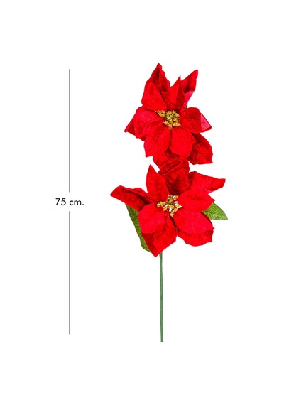 Yılbaşı Çiçeği Puansetya 2 Çiçekli Kırmızı 75 Cm.