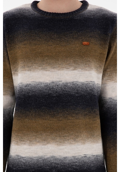 U.S. Polo Assn. Erkek Slim Fit Bisiklet Yaka Taş Kazak 50297082-VR049