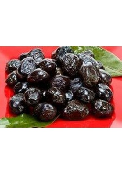 Akcaalan Manzalina Zeytin Fidanı