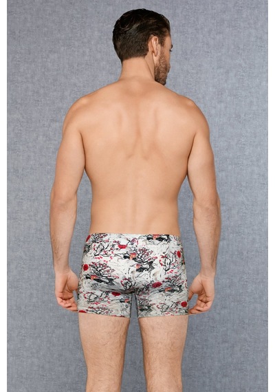 Doreanse Erkek Modal Çok Renkli Baskılı Torbalı Normal Paça Boxer 1808 Çok Renkli
