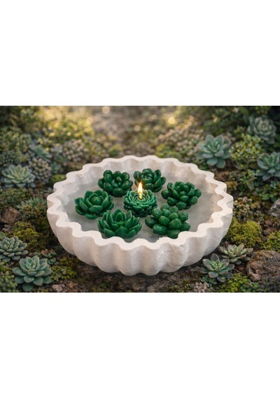 Green Lotus-el Yapımı Sukulent Mum Dekoratif Kase Beyaz-yeşil