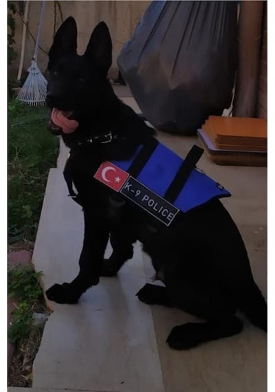 Mg Tasma K9 Göğüs ve Sırt Tasması Mavi