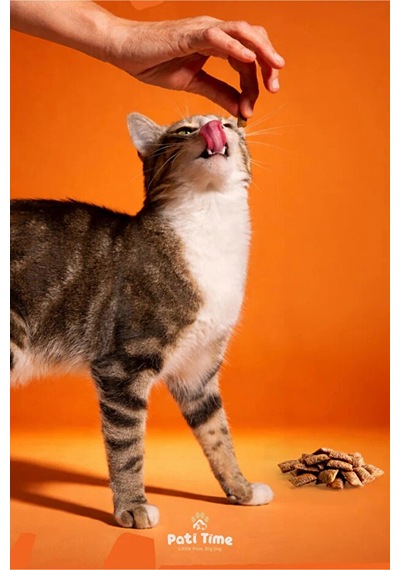 Felicia Crunch Beauty Kedi Ödülü 100 Gr 6'lı