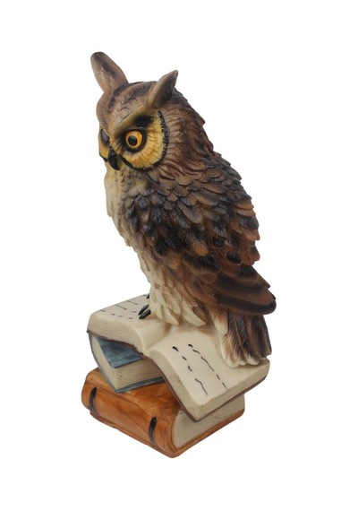 Feng Shui Kitap Üzerinde Bilge Baykuş Biblo 23 Cm Dekoratif Şans Getiren Lüks Ev Ofis Hediyesi Obje