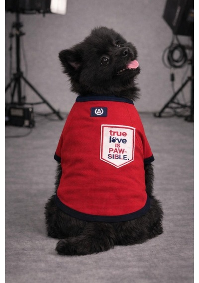 Alphadog True Love Küçük Irk Köpek T-shirtü