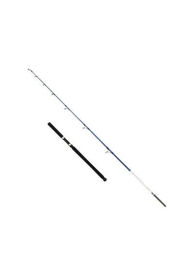Captain 1411 Victor Boat 2 Parça Tekne Kamışı 30-160gr Atar