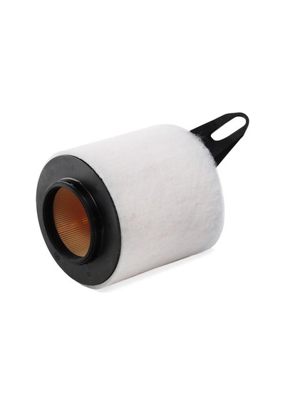 Mann Filter Hava Filtresi C1370