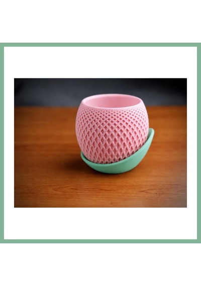 Bşkvirgo 3d Baskı Küre Saksı - Kafes Dokulu İki Parçalı Dekoratif Saksı - Pembe-mint Bsk2026 Standart