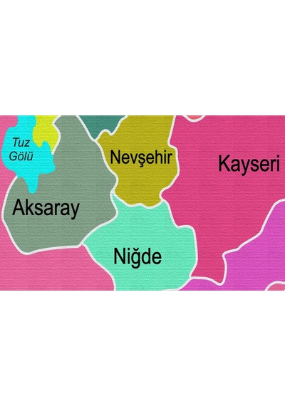 Doğaltercih Türkiye Haritası Kanvas Tablo Sınır Komşulu Eğitici ve Öğretici Dekoratif Tablo 3080