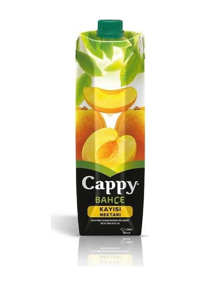 Kayısı Meyve Suyu 1 Lt.