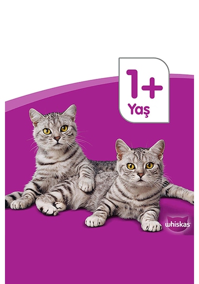Whiskas Tavuklu ve Sebzeli Yetişkin Kedi Maması 12 x 300 G